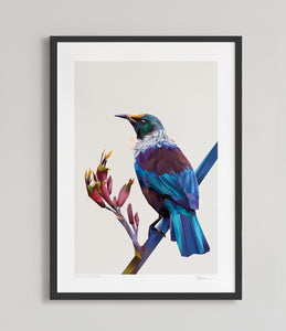 nz bird art