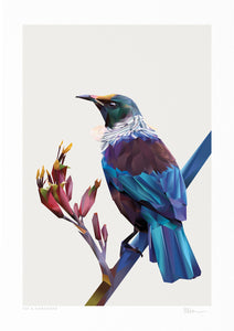 fine art prints nz